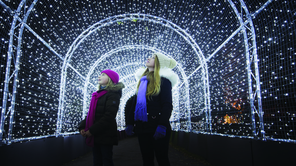 Tunnel of lights, Christmas at Kew, Picture courtesy of Royal Botanical Gardens, Kew